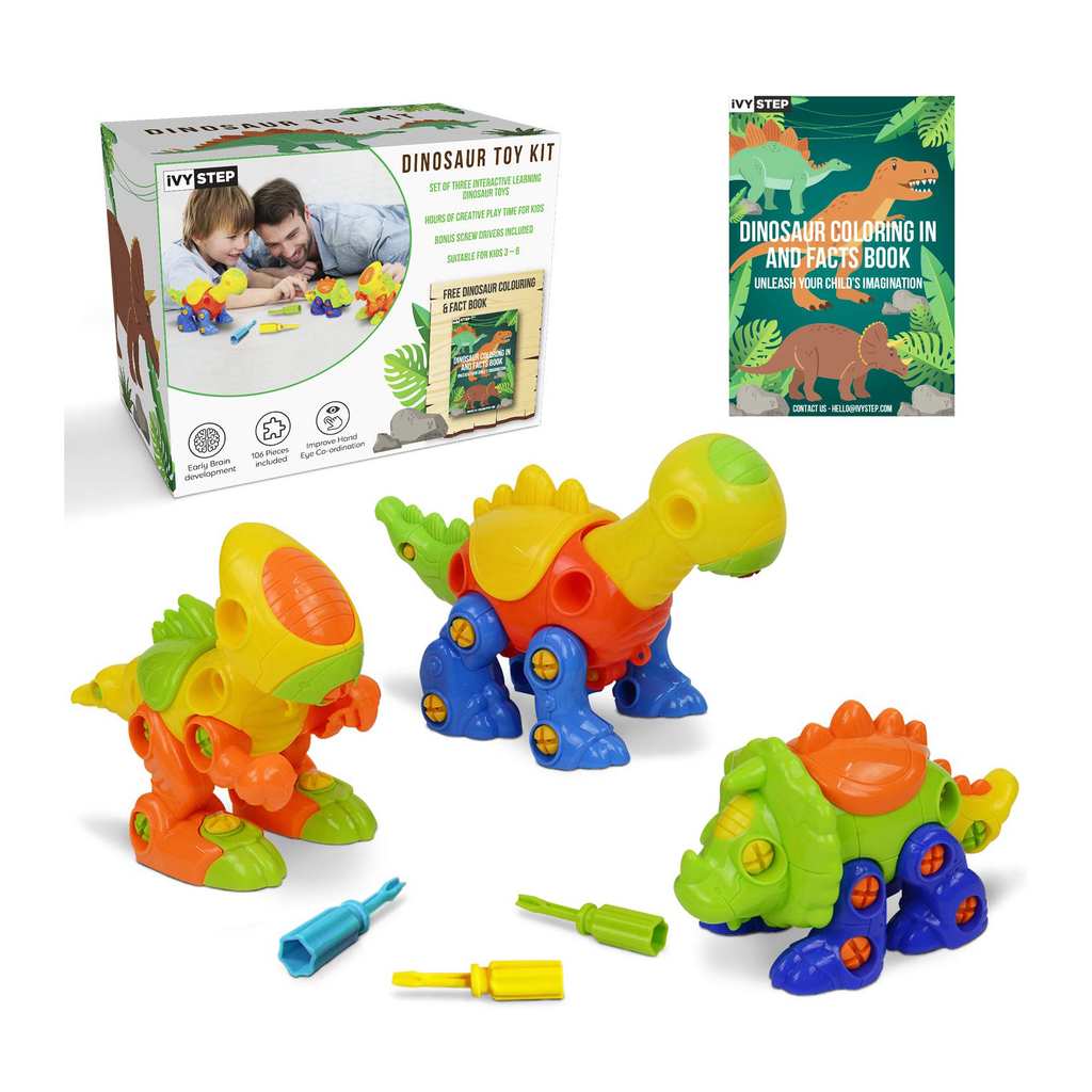 Essentials Men's Dress Reversible